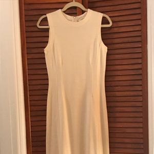 BR Knit Skinny Column Dress